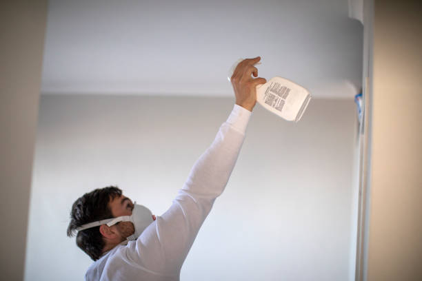 Best Mold Removal Near Me  in Rogers City, MI