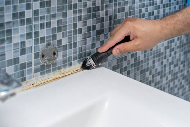 Best Residential Mold Removal  in Rogers City, MI
